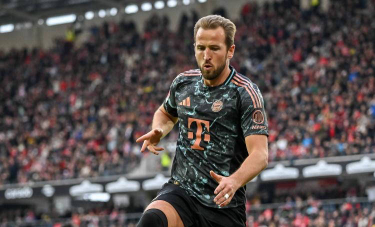 带来信心 带来信心