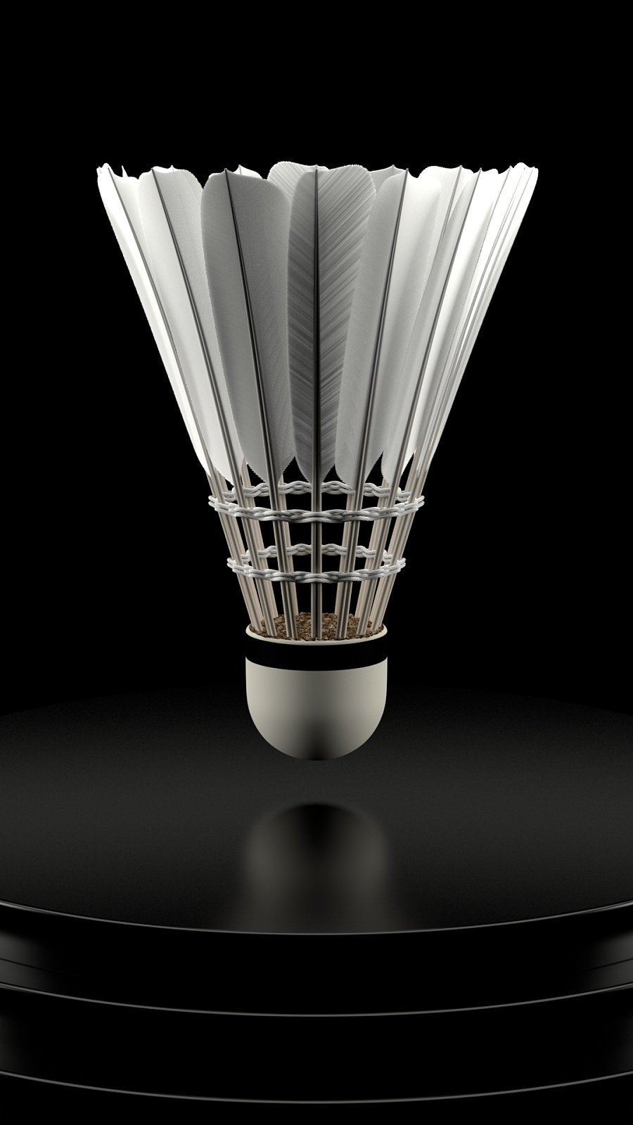 期建设的集 期建设的集